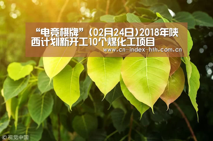 “电竞棋牌”(02月24日)2018年陕西计划新开工10个煤化工项目