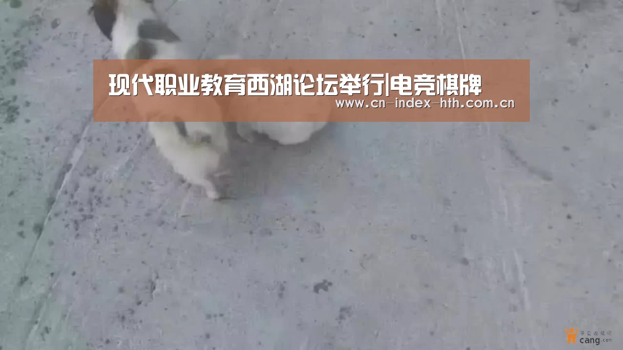 现代职业教育西湖论坛举行|电竞棋牌