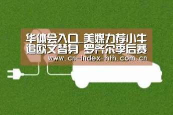 华体会入口_美媒力荐小牛追欧文替身 罗齐尔季后赛打出身价