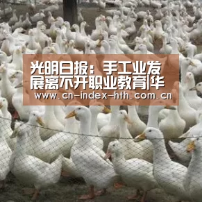 光明日报：手工业发展离不开职业教育|华体会棋牌