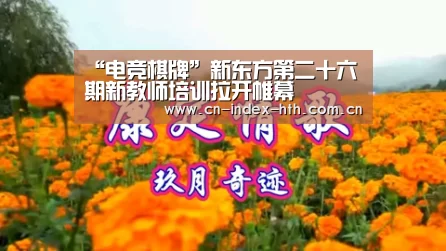 “电竞棋牌”新东方第二十六期新教师培训拉开帷幕