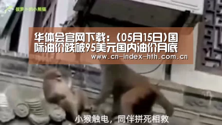 华体会官网下载：(05月15日)国际油价跌破95美元国内油价月底有望再降